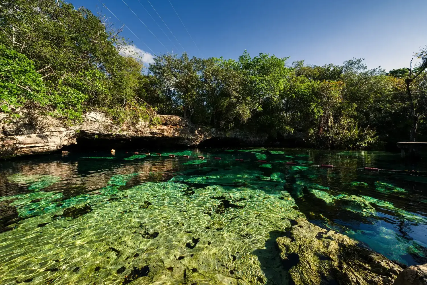 Cenote Azul, a shallow open cenote near Playa del Carmen