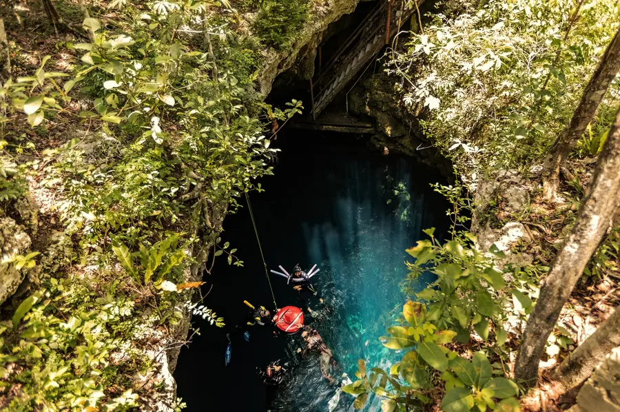 A vertical frame from a designed day, shot at a cenote